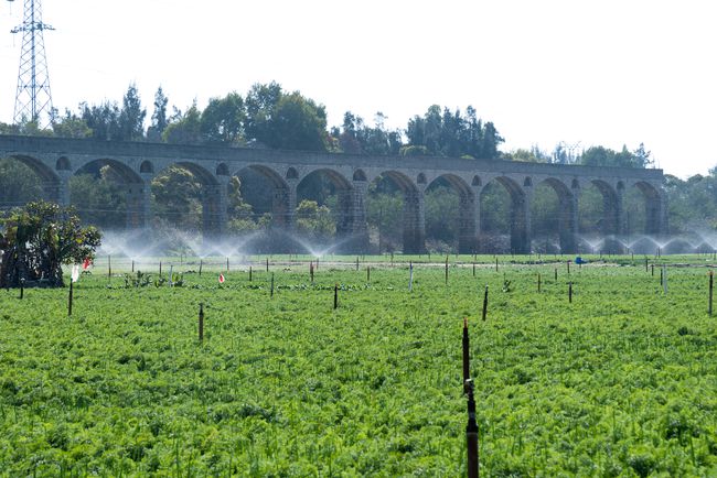 智慧化灌溉 智慧化灌溉