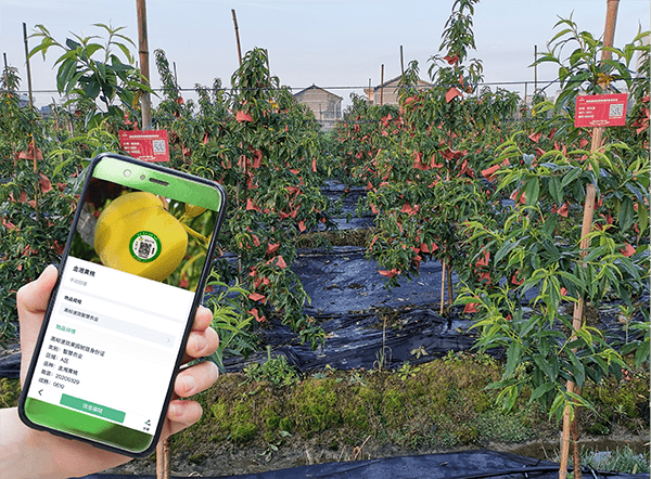 北京智慧果園