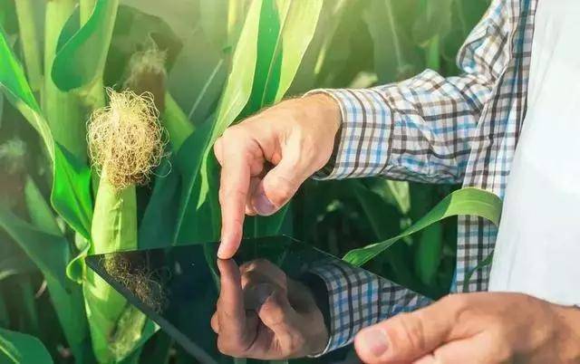 智慧農業系統公司 智慧農業系統公司