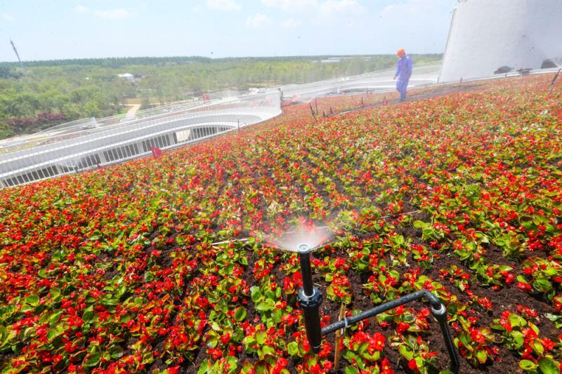 農(nóng)場(chǎng)自動(dòng)淋花系統(tǒng)