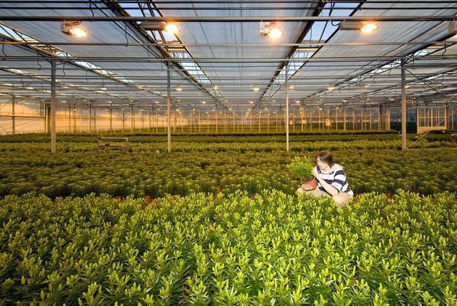 大棚遠程控制系統