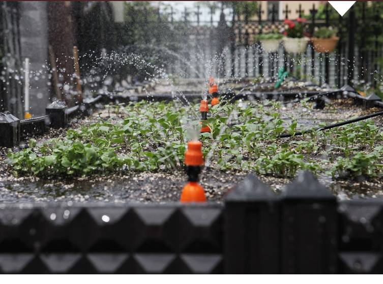 小型菜園灌溉噴灌系統