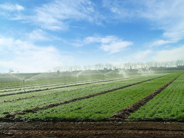 智慧農業智能灌溉系統