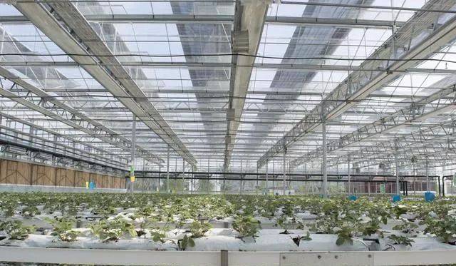 玻璃溫室棚控制系統 玻璃溫室棚控制系統