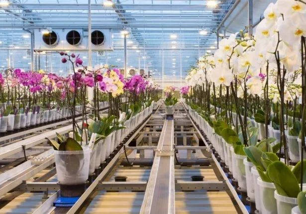 溫室大棚物聯(lián)網(wǎng)設(shè)備