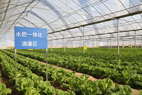 智慧農(nóng)業(yè)項目方案