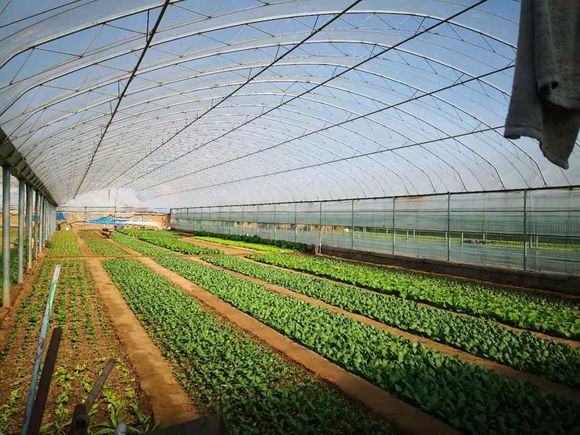 農業大棚環境監測系統