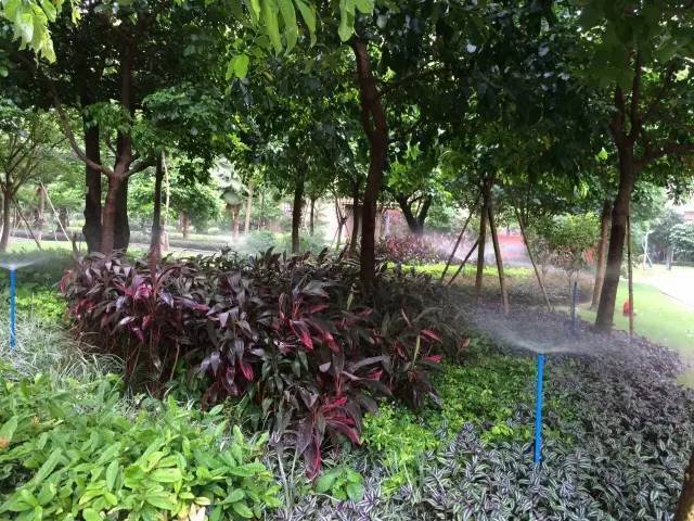 智能自動化噴灌系統