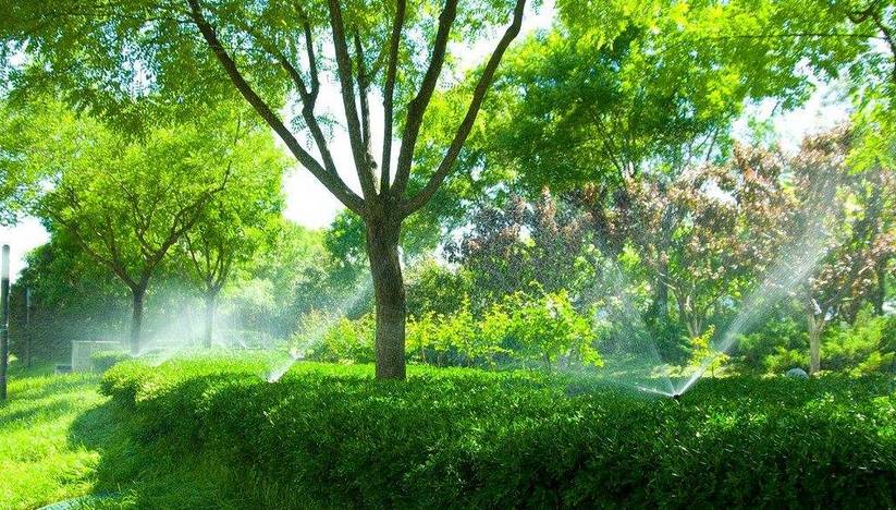 遠程綠植澆灌系統(tǒng)