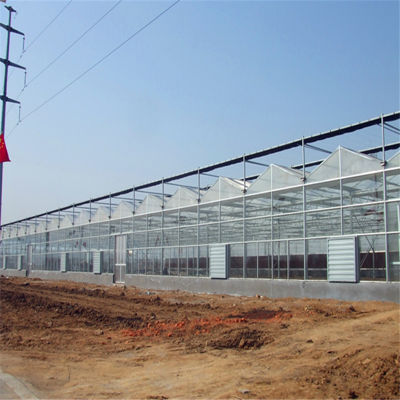 智能化溫室連棟大棚