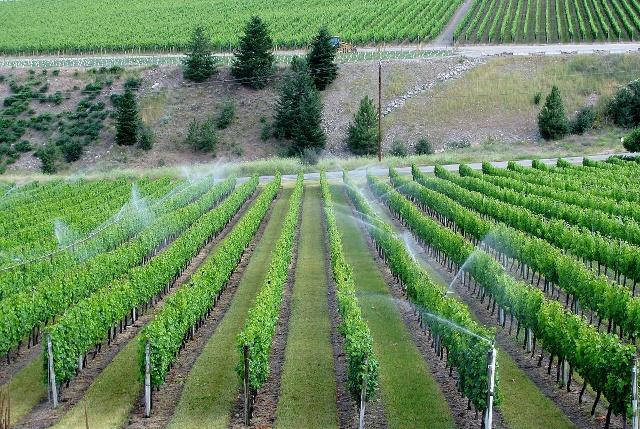 科技農(nóng)業(yè)灌溉智能裝備 科技農(nóng)業(yè)灌溉智能裝備