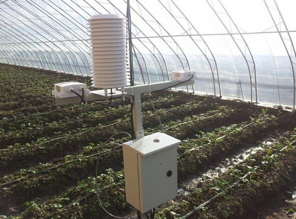 智慧大棚監控系統廣東