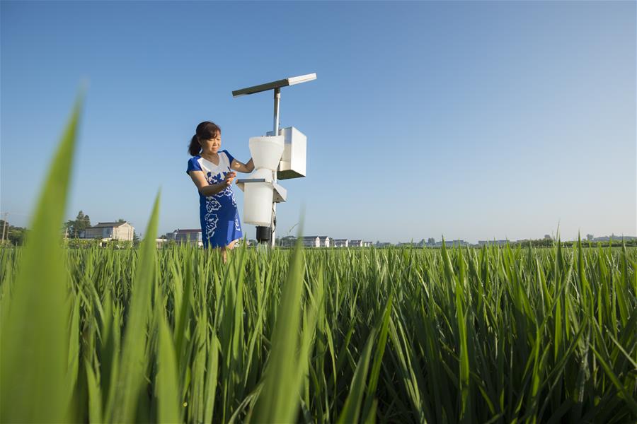 家庭農(nóng)場系統(tǒng)