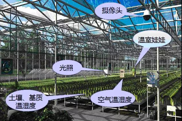溫室物聯(lián)網(wǎng)大數(shù)據(jù)云平臺