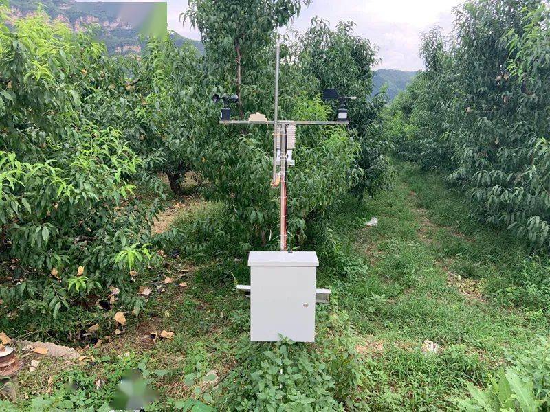 數字果園信息化系統 數字果園信息化系統