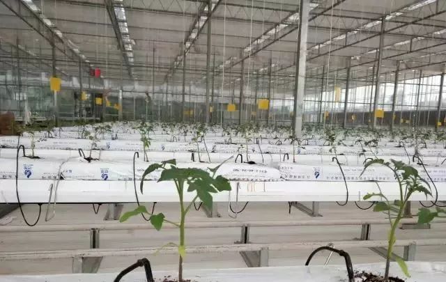 種植物聯網設備