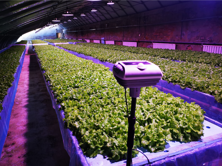 農(nóng)業(yè)物聯(lián)網(wǎng)無人管理系統(tǒng)