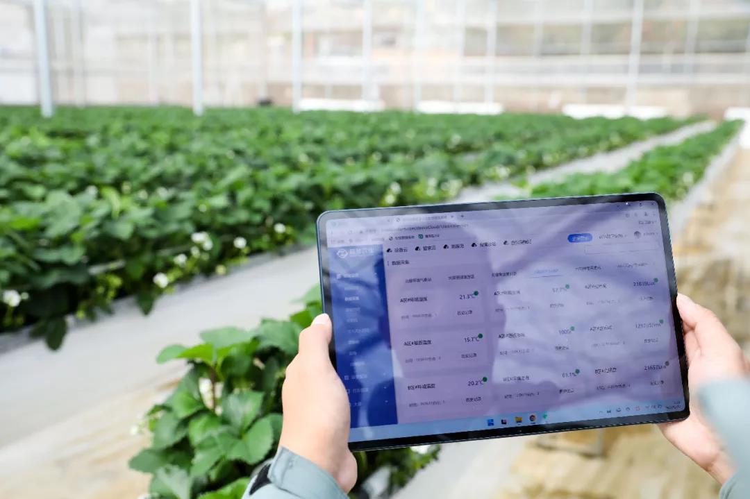 智能溫室大棚設備廠家直銷