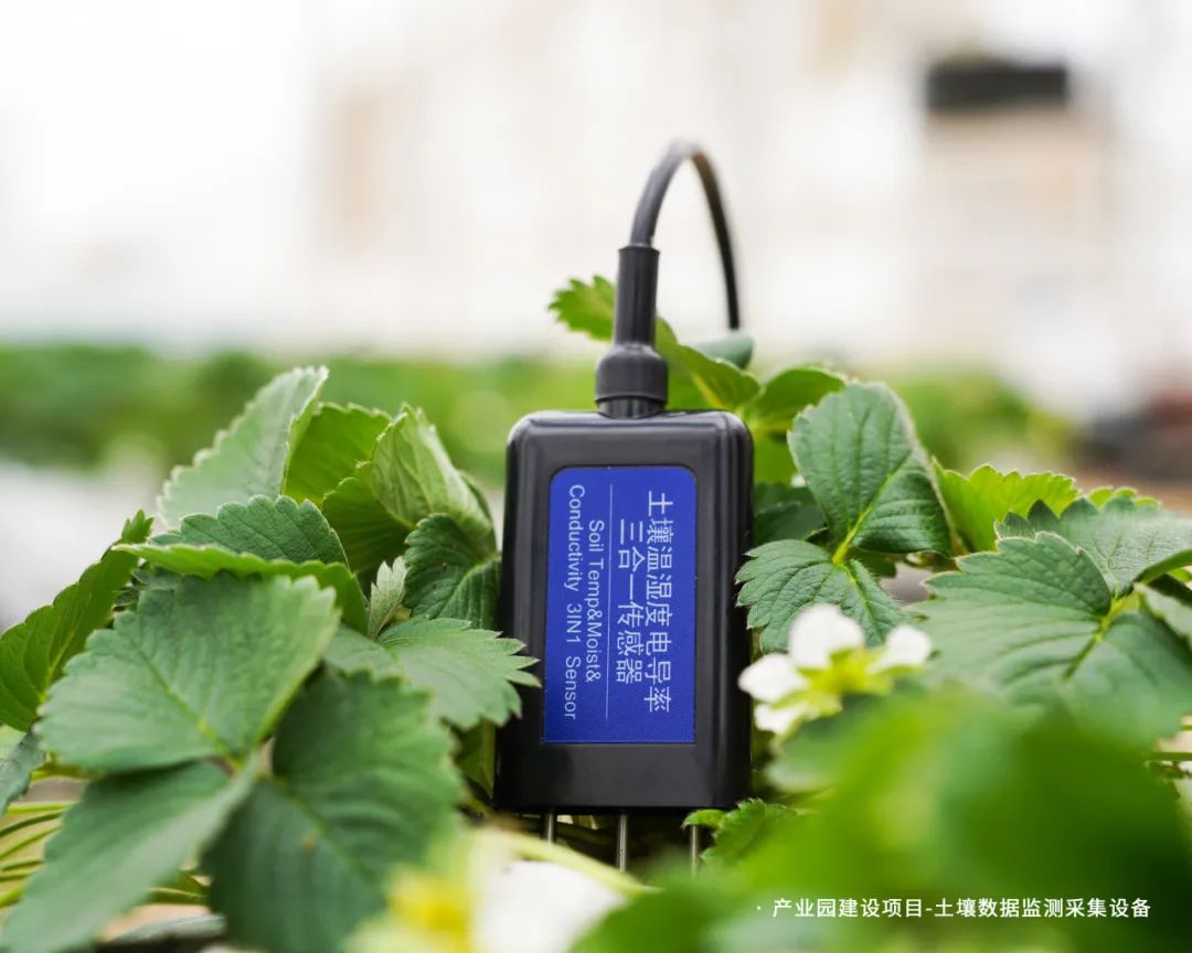 土壤檢測設備
