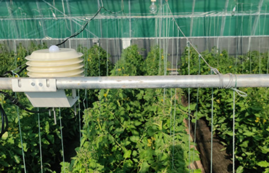 智慧農業大棚環境監測系統