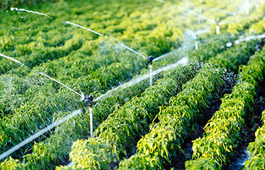 高標準農田智能灌溉系統