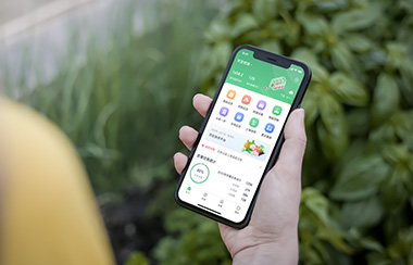 蔬菜大棚溫控監測系統 蔬菜大棚溫控監測系統