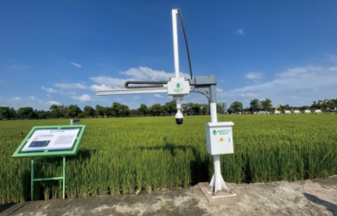 葉齡診斷機械臂 葉齡診斷機械臂