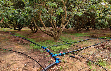 水肥一體化施肥裝置 水肥一體化施肥裝置