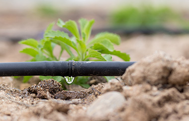 育苗水肥一體化系統